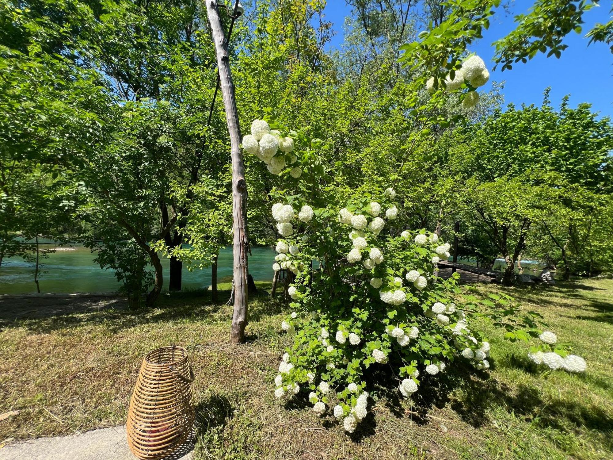 Anur Apartment Bihać Zewnętrze zdjęcie