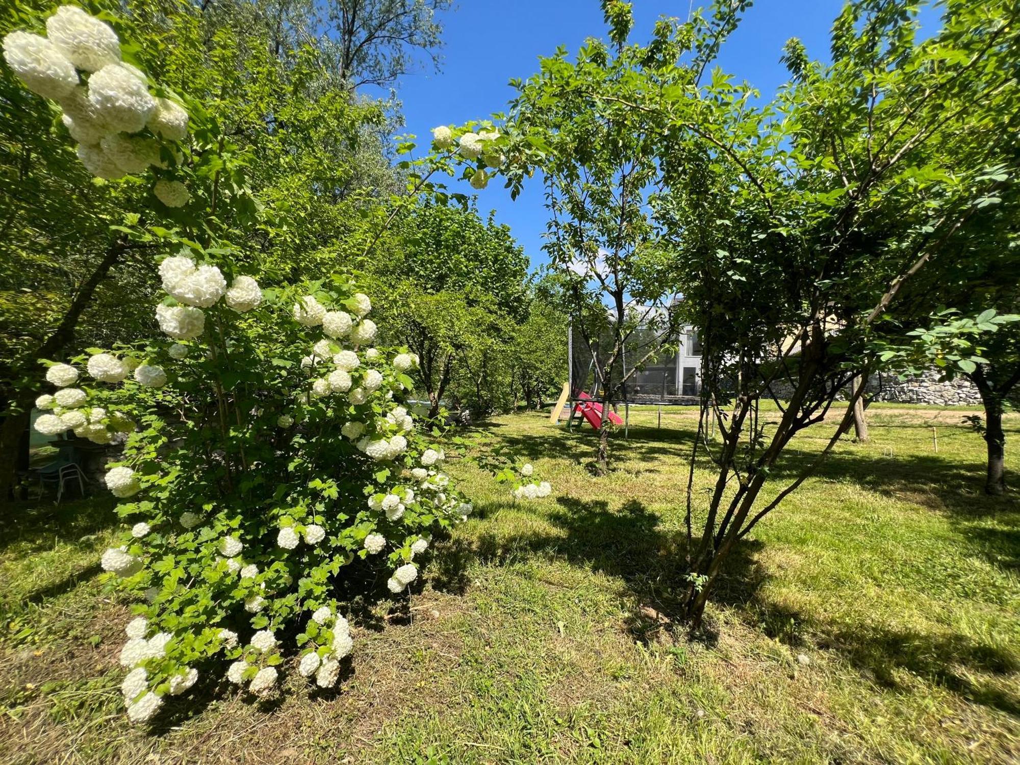 Anur Apartment Bihać Zewnętrze zdjęcie